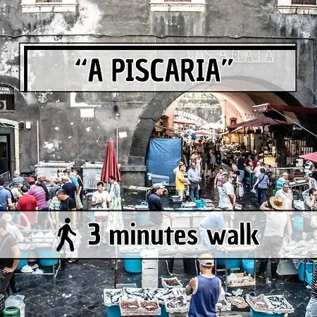 Anny House 2min Piazza Duomo 3min Via Etnea